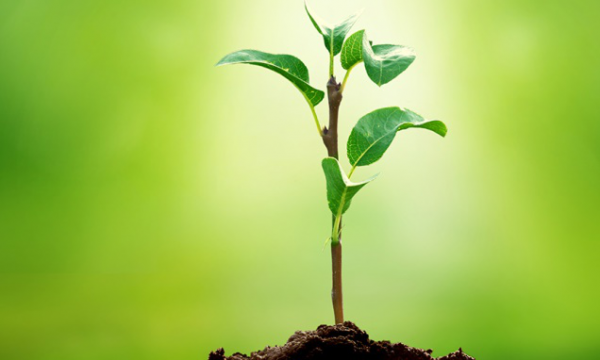 ATSC3.0發(fā)展回顧：行百里而九十？