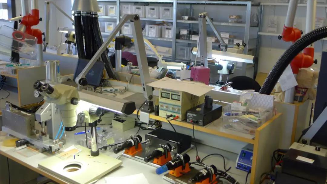 探訪DPA丹麥工廠，發(fā)現(xiàn)Core技術(shù)3毫米話筒頭的研發(fā)過程